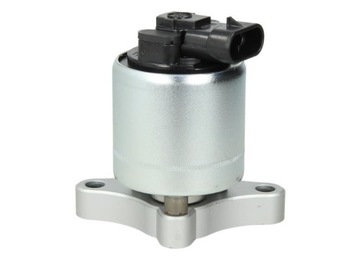 Zawór EGR DELPHI EG10003-12B1
