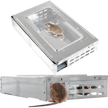 Миликулярная мышиная ловушка