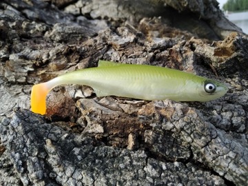 SEWRO CUSTOM UKLEJA 12,5cm oliwka kopyto