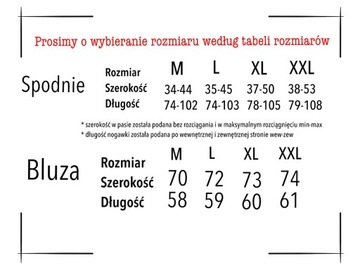 СПОРТИВНЫЙ КОМПЛЕКТ, МУЖСКОЙ СПОРТИВНЫЙ КОСТЮМ НАСА СВИТШОТ, БРЮКИ M