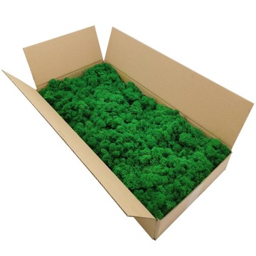 Финский мох 500г нетто