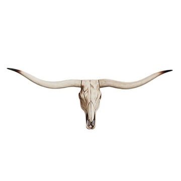 Смола животное череп голова украшение настенная скульптура животного A 77,5x32x12 см