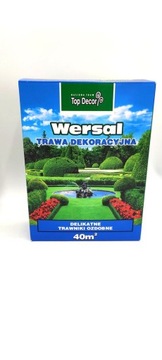 GR TRAWA WERSAL 1,0KG TD9415