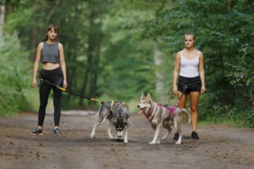 КОМФОРТНЫЙ НАбедренный ремень Caniccross с 3-мя полюсами