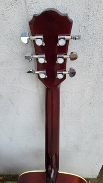 J&D GITARS F-10 NL АКУСТИЧЕСКАЯ ГИТАРА С КОРПУСОМ