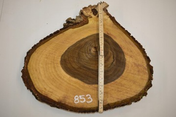 Срез древесины грецкого ореха 48x41Gr4,5 для смолы