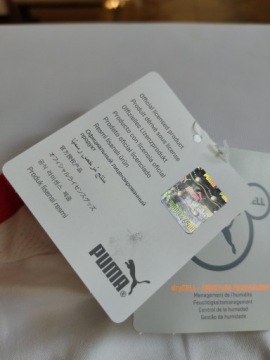 Шорты Puma Austria Home Replica (1244)