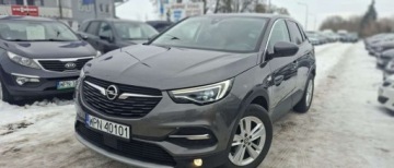 Opel 2018 Opel Grandland X Opel Grandland X 1.2 StartStop Design Line 1.2 Benzyna, zdjęcie 24