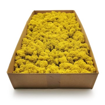 Финский мох 500г.