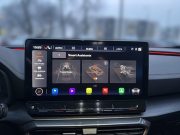 Cupra Formentor Crossover 2.0 TSI 190KM 2022 Cupra Formentor 2.0 TSI 190KM 4x4 Pakiet Zimowy Ca, zdjęcie 25