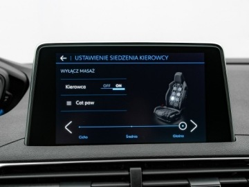 Peugeot 3008 II Crossover Facelifting  1.5 BlueHDi 130KM 2023 Peugeot 3008 BIA6694A#1.5 BlueHDi GT EAT8, zdjęcie 23