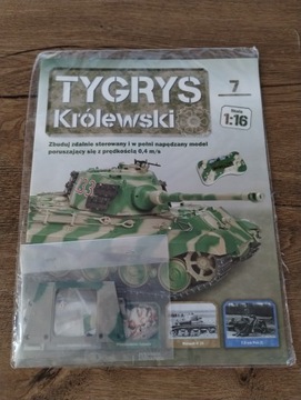 TYGRYS KRÓLEWSKI 7/2022