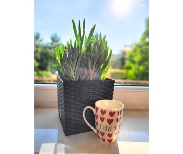 Кружка с надписью I LOVE YOU в сердечках ко Дню святого Валентина.