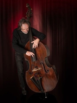 Prodipe BL21 — двухбасовый микрофон