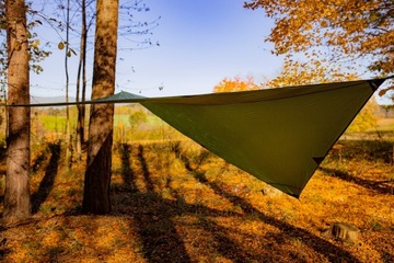 Tarp Moon Зеленый билет на Луну