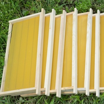 10 ШТ. Медоносный пчелиный лист, восковая основа, пчелиный гребешок