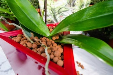 КЕРАМИЧЕСКИЙ LCA Gardening Liapor Fine 50л