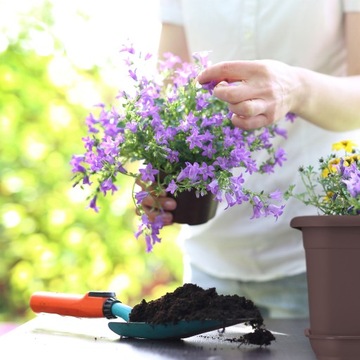 ПОДСТАВКА ДЛЯ ЦВЕТОЧНОГО ЦВЕТКА, 80см КОРИЧНЕВАЯ