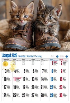 Настенный календарь CATS KITTENS 2024+2025