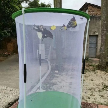 Клетка для разведения бабочек. Клетка для бабочек.