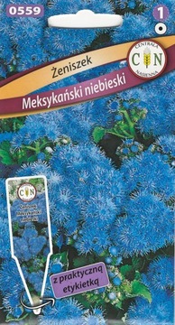 Niezapominajka mix wieloletnia piękna urokliwa roślina nasiona 0,5g