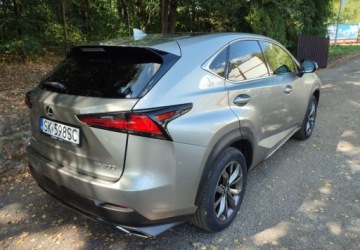 Lexus NX I SUV Facelifting 300 238KM 2019 Lexus NX Krajowy ,bezwypadkowy 2.0 Benzyna 238KM, zdjęcie 4