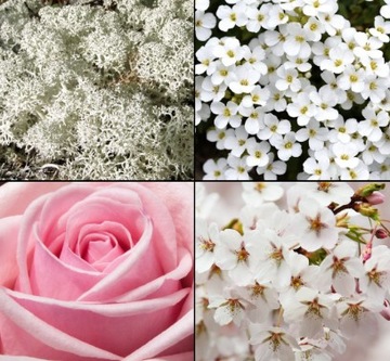 Духи Tesori Muschio Bianco БЕЛЫЙ МУСК 100 мл