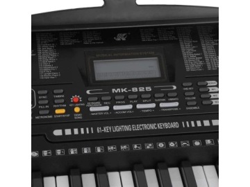Клавишный орган 61 класса МК-825 КУРС обучение игре СТЕНД