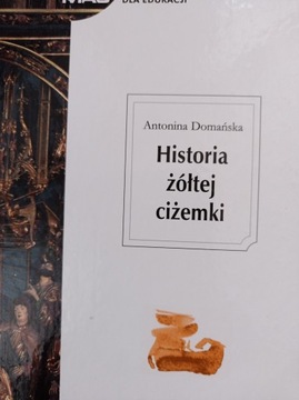 Historia żółtej ciżemki Antonina Domańska mac
