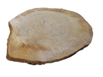 Дуб Срез 38х32 Древесина для домашней обработки Дуб