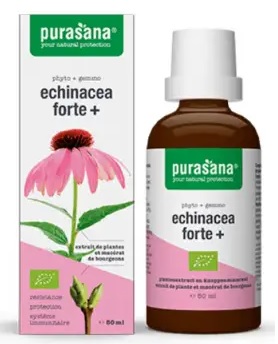 ECHINACEA FORTE JEŻÓWKA PURPUROWA KROPLE BIO 50 ml