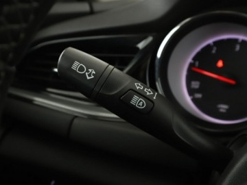 Opel Insignia II Grand Sport 1.6 CDTI  136KM 2019 Opel Insignia 1.6d Automat Elegance Klimatyzacja, zdjęcie 31