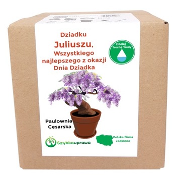 Zestaw BONSAI paulownia Dzień Dziadka Juliusz