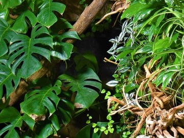 Плодородная садовая земля+керамзит+перлит НАБОР