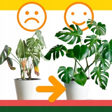 SPAGNUM MOSS - Сфагнум Мосс Лучшее натуральное средство для укоренения - 1л мертвый