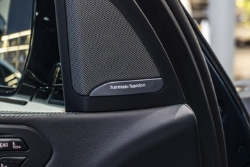 BMW X7 SUV Facelifting 3.0 40d 352KM 2025 BMW X7 xDrive40d - Dostępne od ręki!, zdjęcie 24