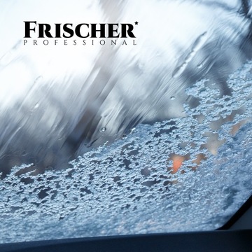 РАЗМОРАЖИВАТЕЛЬ ДЛЯ АВТОМОБИЛЬНЫХ СТЕКЛОВ FRISCHER PROFESSIONAL РАЗМОРАЖИВАНИЕ ЖИДКОСТЬ