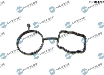 DR.MOTOR DRM01703 TĚSNĚNÍ TĚLO TERMOSTATU
