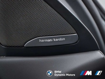 BMW X6 G06 SUV Facelifting 3.0 30d 298KM 2025 BMW X6 xDrive30d 298 KM mHEV - HarmanKardon - Kamera 360 - Hak Holowniczy, zdjęcie 26