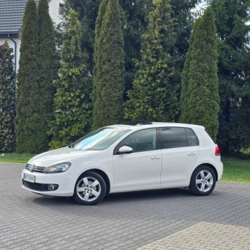 Volkswagen Golf VI Hatchback 5d 1.6 TDI-CR DPF BlueMotion 105KM 2010 Volkswagen Golf VI 1.6 Diesel, zdjęcie 4