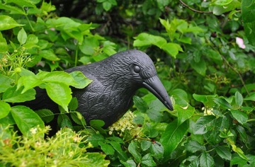 БОЛЬШОЙ СЫРЬЕ, ОТПУСКАТЕЛЬ ПТИЦ, ГОЛУБИ, ДЛЯ БАЛКОНА
