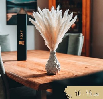 POZY PAMPAS SUSZONA TRAWA DEKORACYJNA
