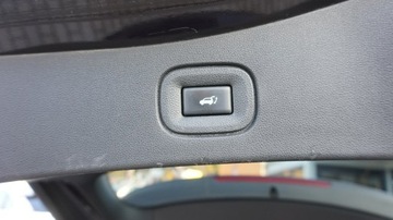 Renault Koleos II SUV Facelifting 2.0 Blue dCi 190KM 2020 Renault Koleos Initiale Paris 4x4 . automat, zdjęcie 15