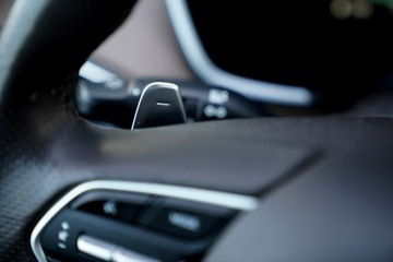 Hyundai Santa Fe IV 2022 Hyundai Santa Fe FUL LED 7-osob panorama skóra, zdjęcie 38