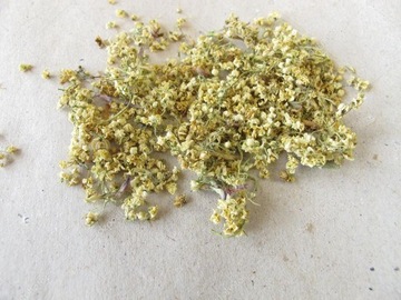 Bez czarny Kwiat bzu czarnego cięty susz Sambucus nigra Mystic.Garden 2 kg