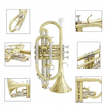 Духовой инструмент Bb Flat Cornet с перчатками в футляре