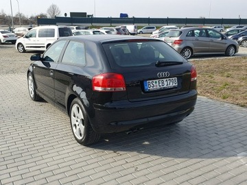 Audi A3 8P Hatchback 3d 2.0 TDI PD 140KM 2004 Audi A3 2.0tdi 140KM Skóra Klima Alu17 Raty, zdjęcie 3