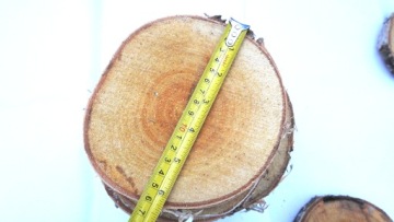 Деревянный кусочек pieńiek brzoza 15-18 см, 1