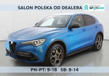 Alfa Romeo Stelvio SUV 2.2 JtdM-2 210KM 2019 Alfa Romeo Stelvio 2.2 JTDM Fv23 Od RiA SalonPL FVat Bogata Wersja 4x4 2.1