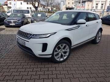 Land Rover Range Rover Evoque II SUV 2.0 Td4 180KM 2019 LAND ROVER Evo Business Auto 4wd 2019 180km